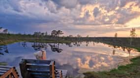 Jurmala: Kemeri National Park Sunset Trip