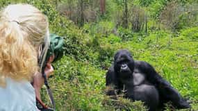 Day-trip Gorilla Tracking in Rwanda from Kigali with Lunch