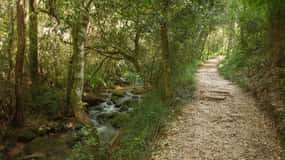Pedra e natureza: Vila Velha e Buraco do Padre, Paraná