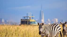 Nairobi National Park Sunrise or Sunset Game Drive Options