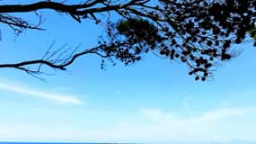 Agropoli: Punta Licosa Boat tour with Lunch