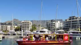 Cape Town: 30 Minute Seal-Watching Harbour Cruise