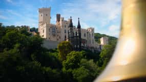 Koblenz: Boat tour in the Rhine Valley along the castles