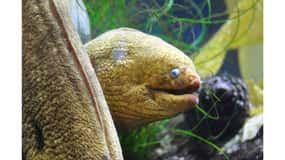 Los Angeles: Heal The Bay Aquarium in Santa Monica