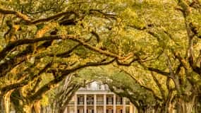 From New Orleans: Oak Alley Plantation Tour