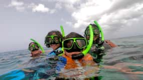 Vieques: Delad snorklingsupplevelse med Salty Spirit