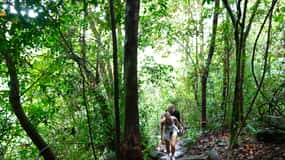 From Pattaya: Rayong Adventure Hike and Kayak Day Trip