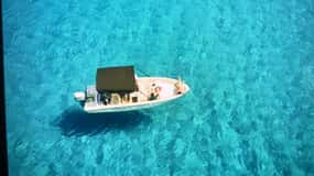 From Tropea: Max 8 People Comfort Trip to Capo Vaticano