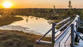 Sunrise Tour To Great Kemeri Bog