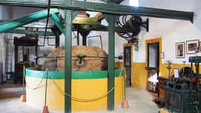 Oil Mill and Agro-Food Market from Costa del Sol