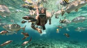 Cartagena: Excursion to the Rosario Islands and White Beach with Snorkeling