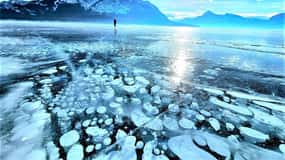 From Canmore/Banff: Icefields Parkway & Abraham Lake Bubbles