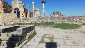 Transfer From Fes to Tangier via Volubilis and Chefchaouen