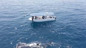 Snorkeling alle isole Daymaniyat con GoPro