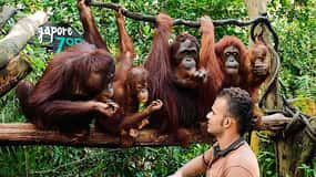 Travel zoo one way transfer trip