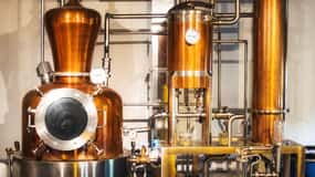 Holyrood Distillery Gin Verkostung