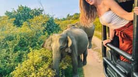 De Sigiriya : Hurulu Eco Park Safari : Tudo Incluído