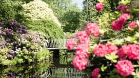 Rotterdam: Indgangsbillet til Trompenburgs botaniske have
