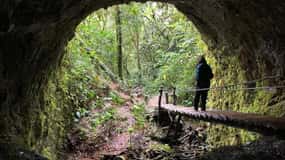 Cascada de Santa Rita y Salento Tour privado