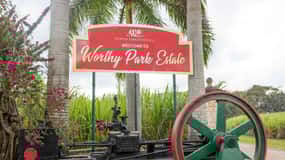 Jamaica: Worthy Park Rum Estate