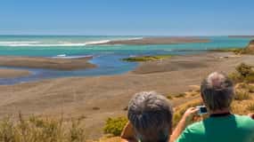 Puerto Madryn: Full Day Peninsula Valdes Experience Tour