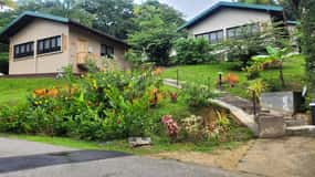 Trinidad: Asa Wright Nature Centre Bird Sanctuary Experience
