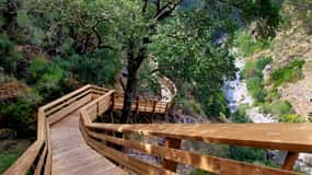 516 Most Arouca i promenada Paiva - wycieczka półprywatna
