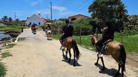 Horseback Ride Shore Excursion and Glass bottom boat Tour