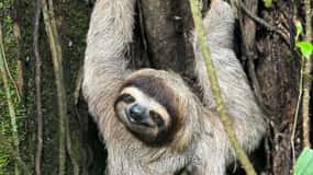 Manuel Antonio nationalpark: Guidad rundtur