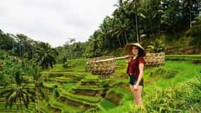 Całodniowe wycieczki do Ubud z opcją All Inclusive