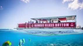Honolulu: Glass Bottom Boat Tour along Oahu's South Shore