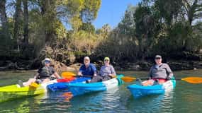 Crystal River: Guidad tur i kajak med Manatee Encounters