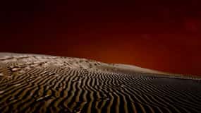 Da Doha: Safari notturno nel deserto con osservazione delle stelle e giro in cammello