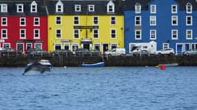 Isle of Mull: Guided Coastal Walk to Tobermory Lighthouse