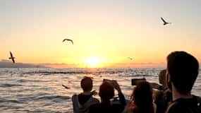 Ribeira Grande: Sunset Boat Tour |Cintrão Cape