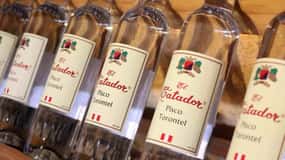Da Huacachina/Ica: Tour di degustazione di vini e vigneti di Pisco