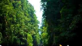 Ko Lanta: Mangrove Forest Kayak & Wildlife Adventure
