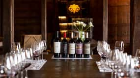 Discover the Colchagua Valley's Wine Experience