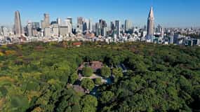 Tokyo: Meiji-helligdommen – vandringstur – Shinto og det keiserlige systemet