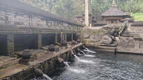 Bali: Excursão de um dia ao terraço de arroz, cascata e templo de água