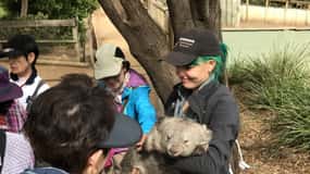Navette pour le sanctuaire de la faune de Bonorong : Excursion à Hobart