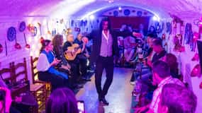 Granada: Show de flamenco autêntico e intimista com lanches