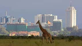 Nairobi airport to city transfer