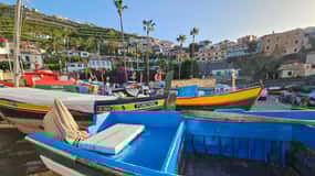 Funchal: Excursão particular ao Teleférico, Tobogã e Skywalk