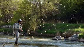 Fly Fish Utah Blue Ribbon Trout Waters