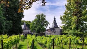 Bioul (près de Dinant) : Visite du Château de Bioul et dégustation de vins