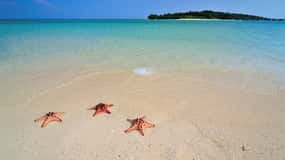 LITTLE BORACAY- CALATAGAN BATANGAS DAY TOUR (FROM MANILA)