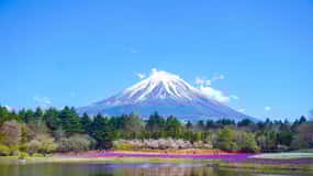 Desde Tokio: Excursión Privada de un Día al Monte Fuji con Conductor