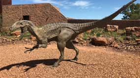 Age of Dinosaurs Museum Half Day Tour - RDT Guided Transfers