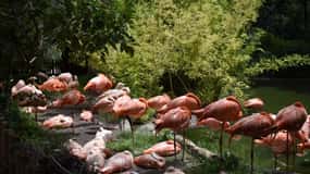 From Puebla: Africam Safari Private Tour all included